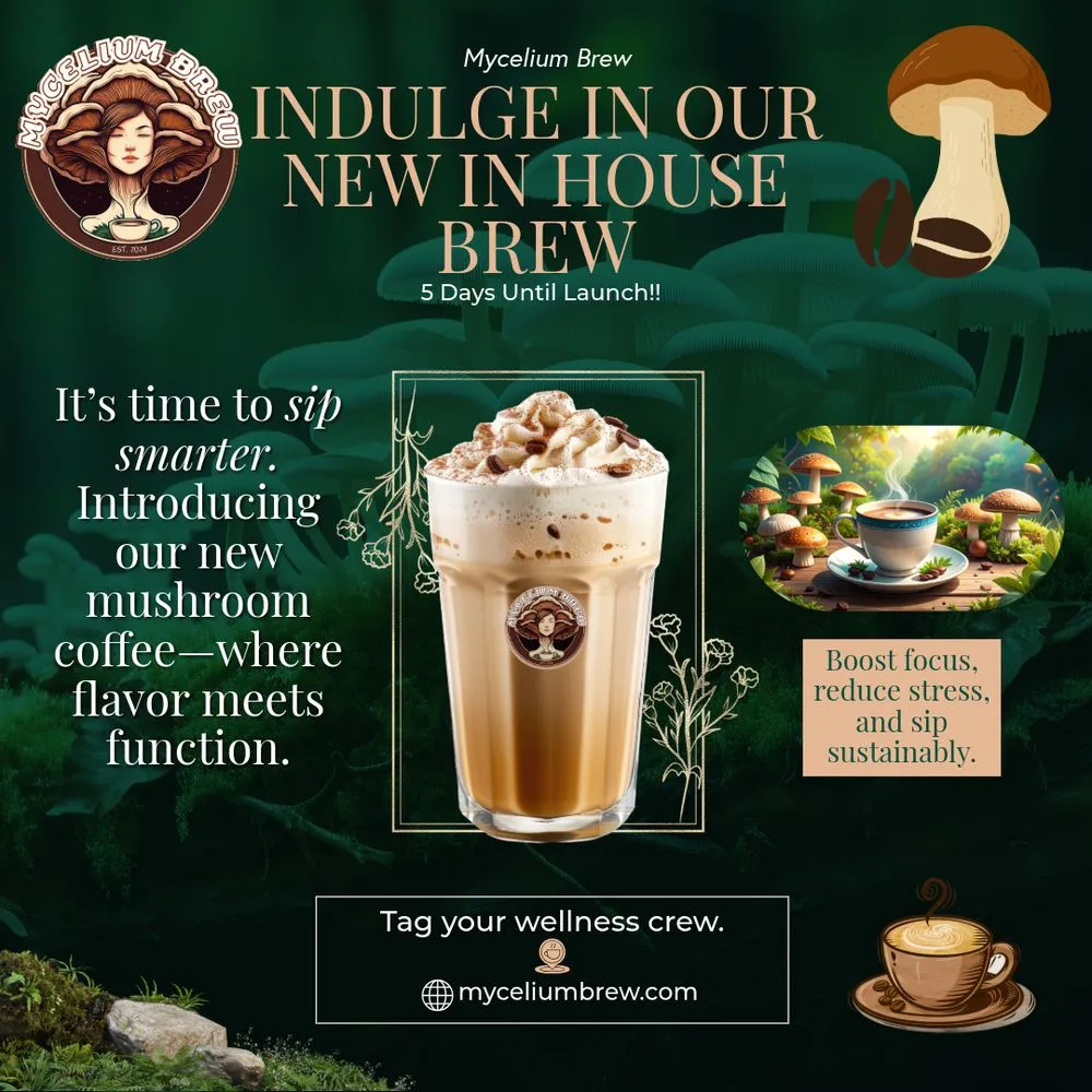 Mushroom Coffee Campaign — image 1