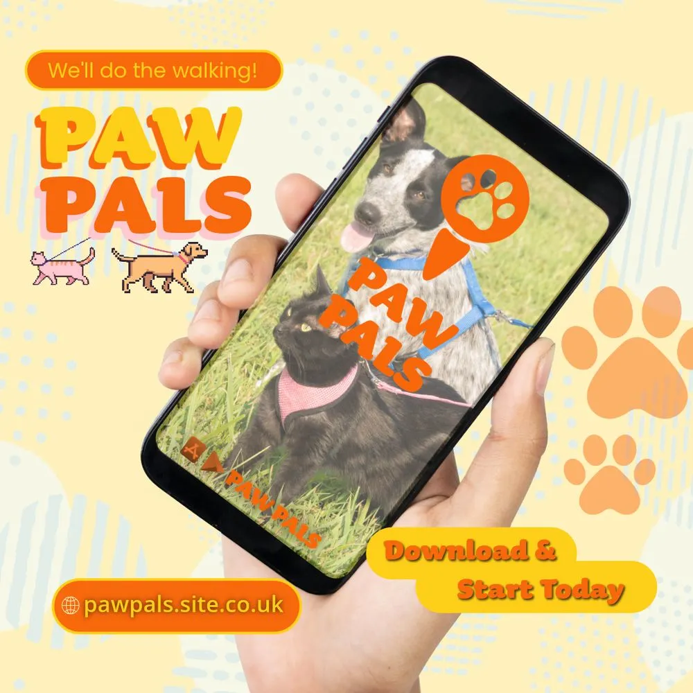 Paw Pals - Integrated Ad Campaign — image 2