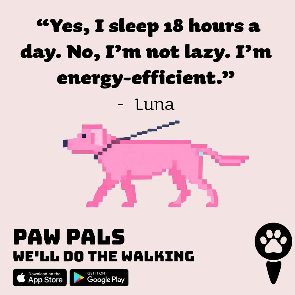 Paw Pals - Integrated Ad Campaign — image 3