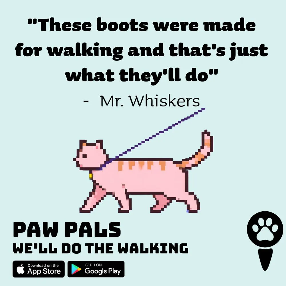 Paw Pals - Integrated Ad Campaign — image 4